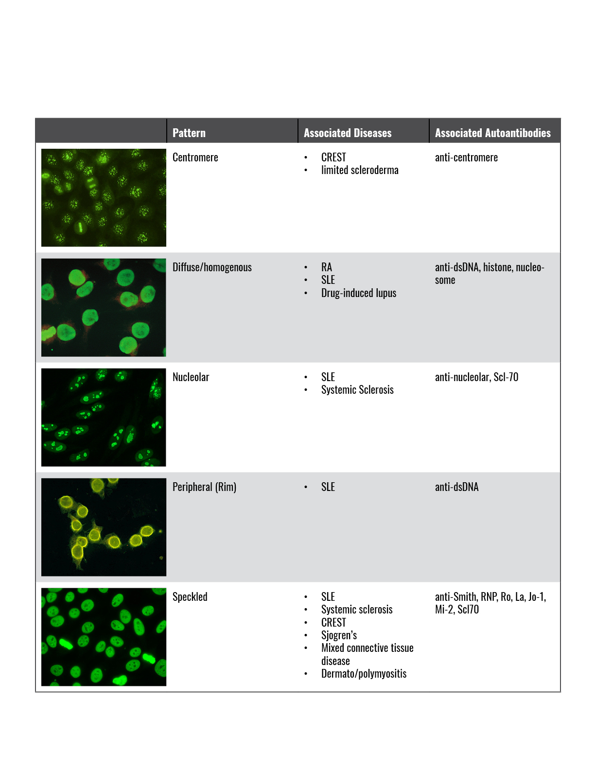 ANA Boards Fodder Next Steps In Dermatology