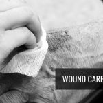 Wound-Care-Series questions