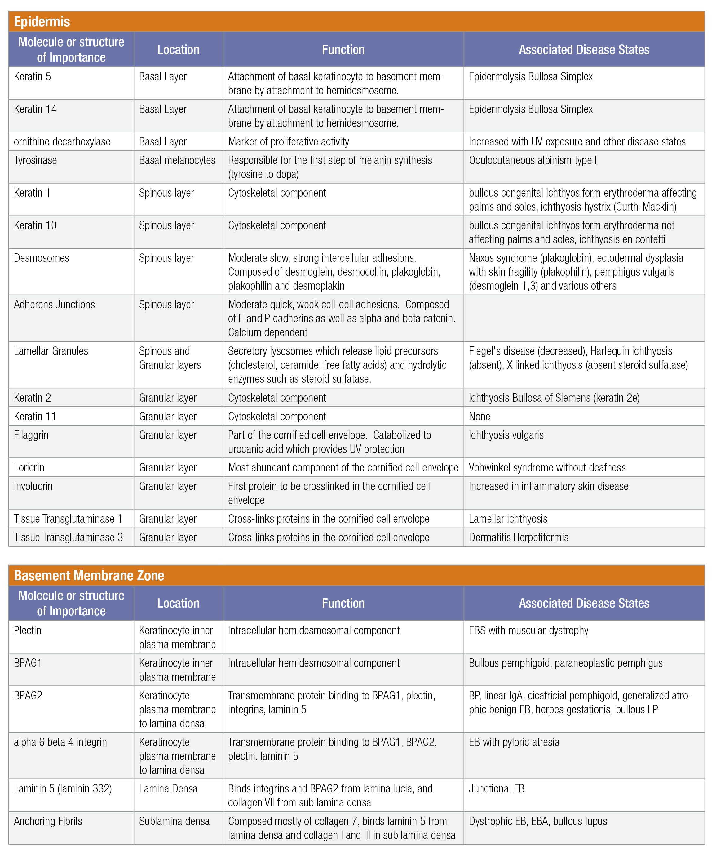 basic science of skin