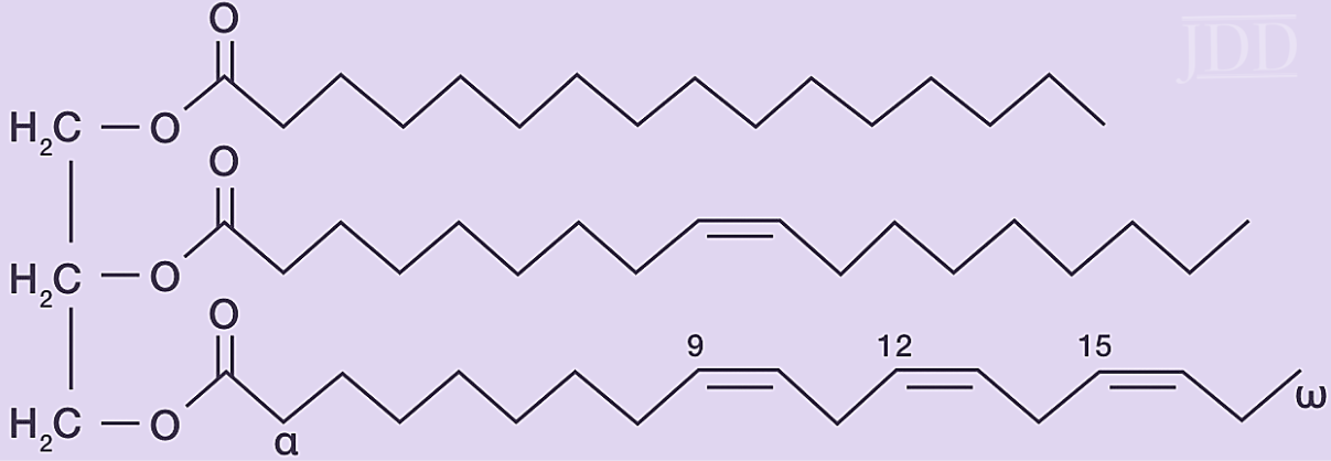 Chemical structure of an example triglyceride