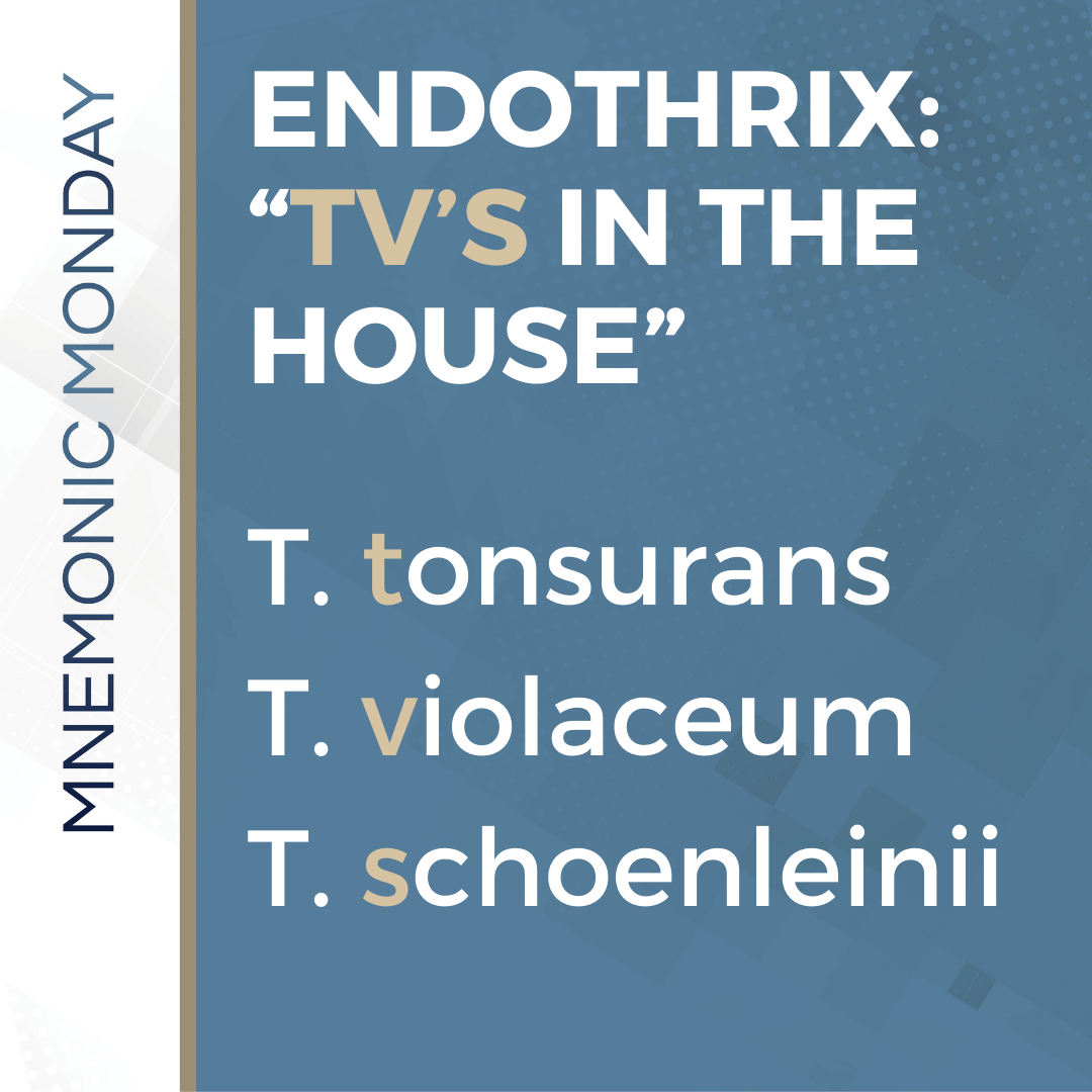 ENDOTHRIX