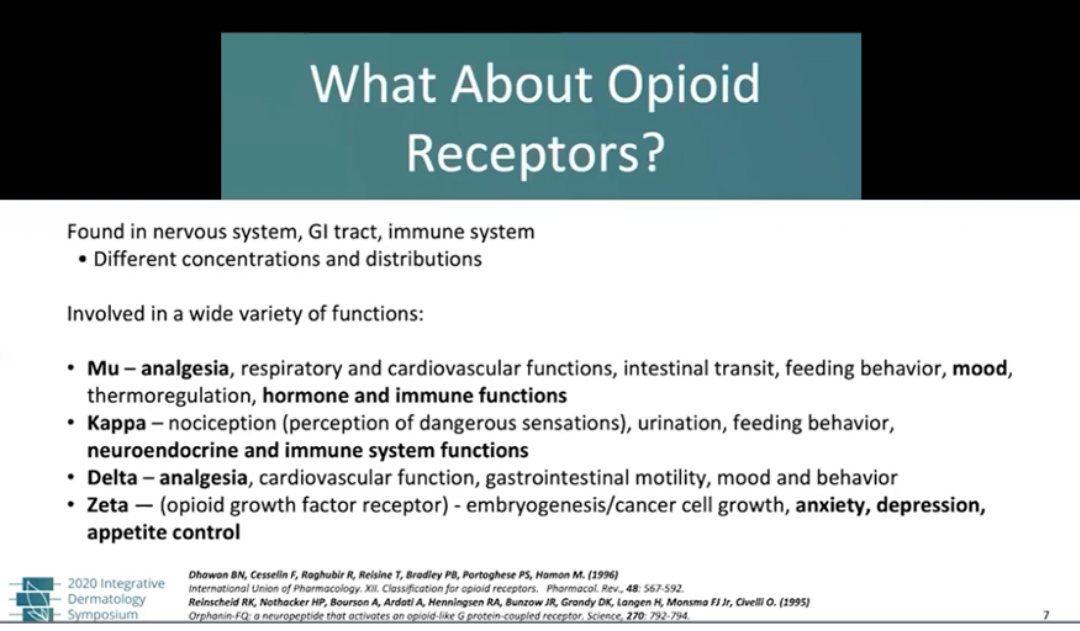 Opioid receptors