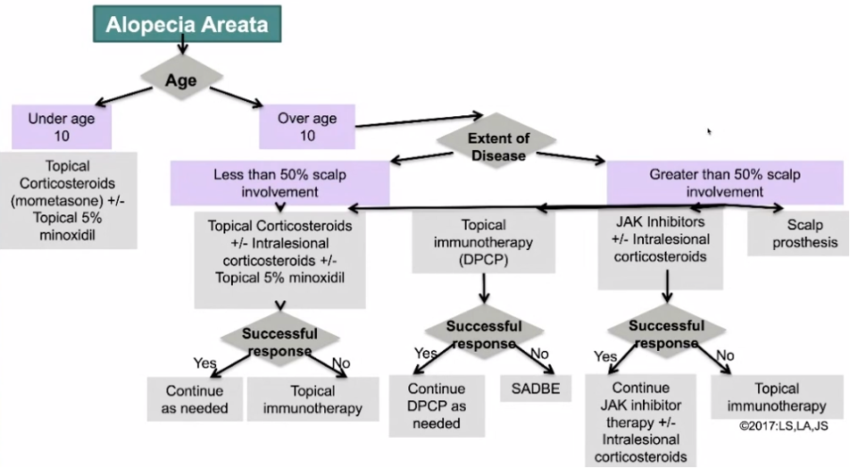 alopecia areata treatment protocol