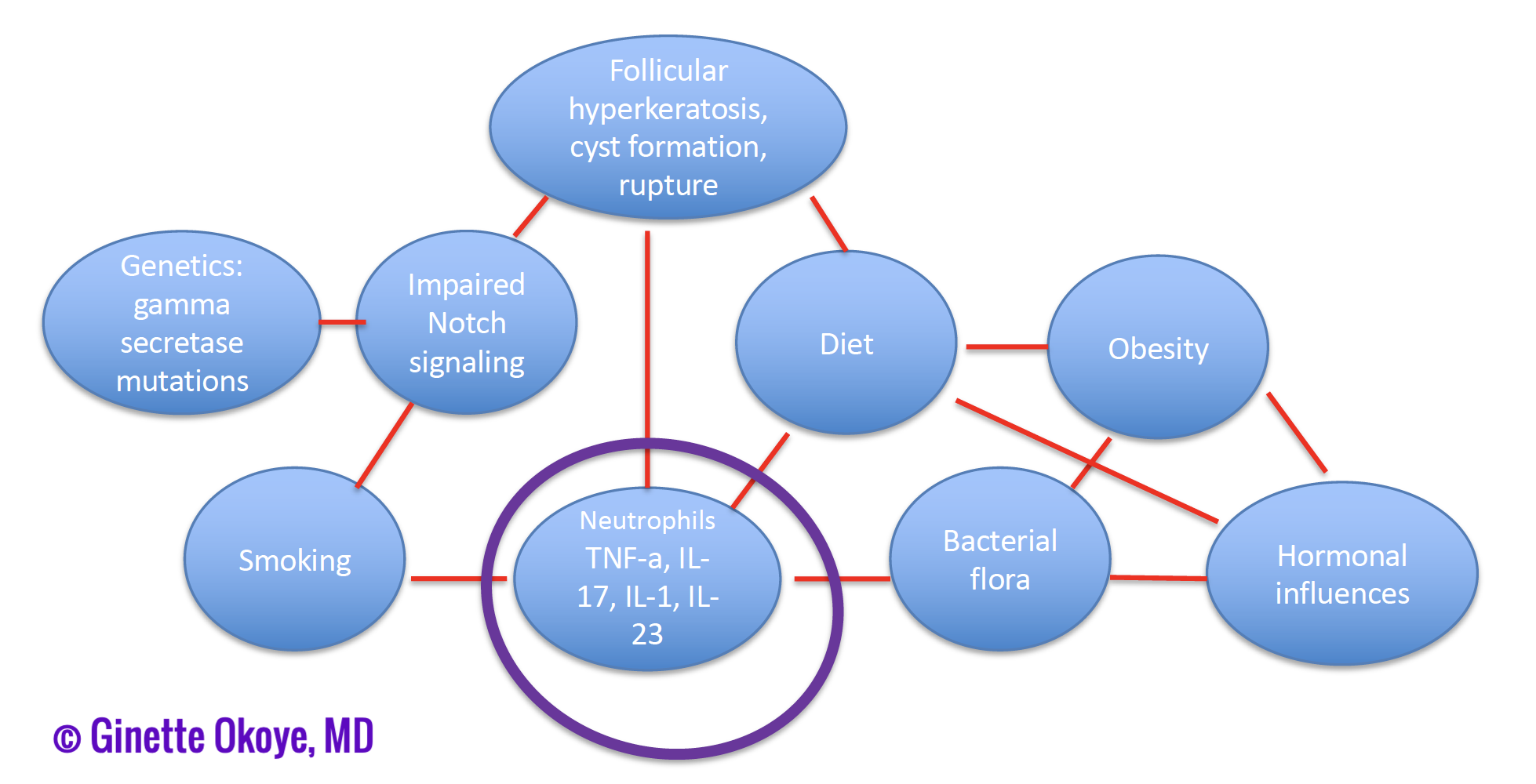 Pathogenesis of gluteal subtype of HS