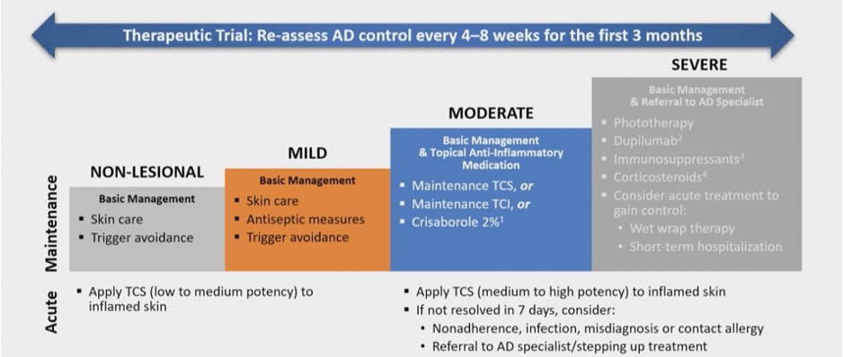 Atopic Dermatitis Therapeutic ladder