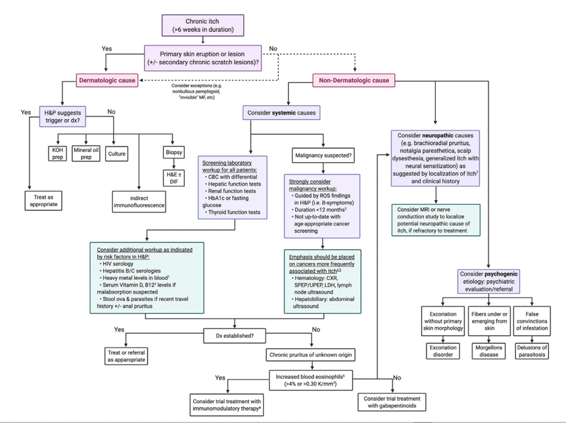 chronic-pruritus-how-to-tailor-management-based-on-underlying-cause