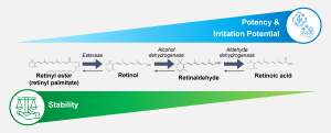 Retinol potency